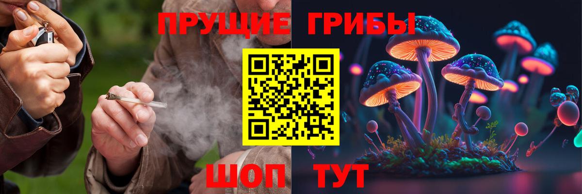 Псилоцибиновые грибы Magic Shrooms  Псилоцибиновые грибы мухоморы  Вход с VPN  Курчалой 